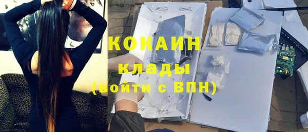стаф Абаза