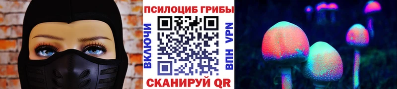 дарк нет телеграм  kraken онион  Каменск-Шахтинский  Галлюциногенные грибы Psilocybine cubensis 