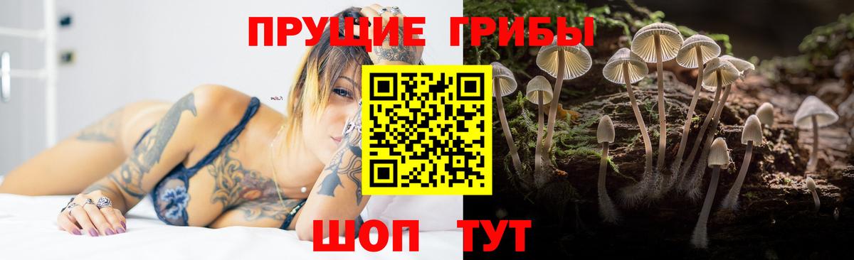 Каменск-Шахтинский  Галлюциногенные грибы Cubensis  Галлюциногенные грибы Psilocybine cubensis  Вход с VPN 