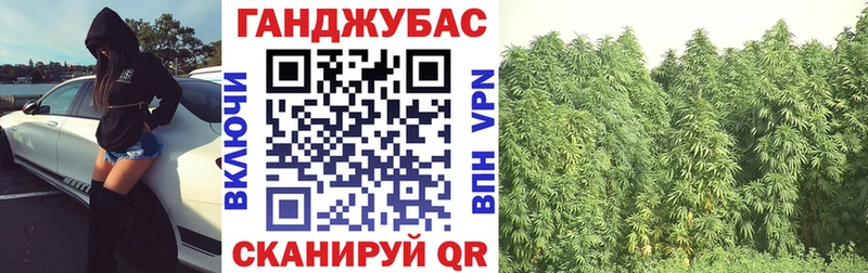 как найти закладки  Каменск-Шахтинский  Канабис Ganja 